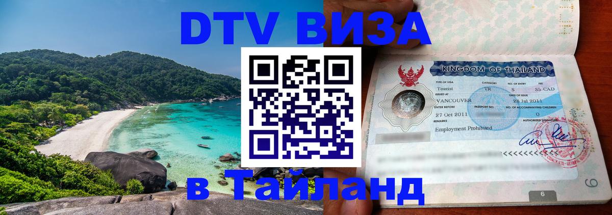 Сколько стоит DTV виза — актуальные цены, оформление даже без документов - 